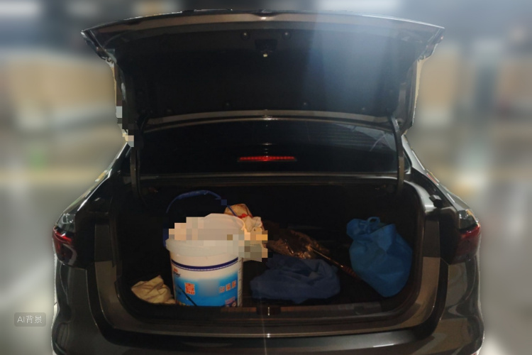 GEELY Emgrand 2025 immagine di auto #21