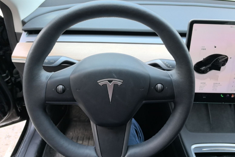 Tesla Model 3 2022 #11 Tesla Model 3 2022 car image #11