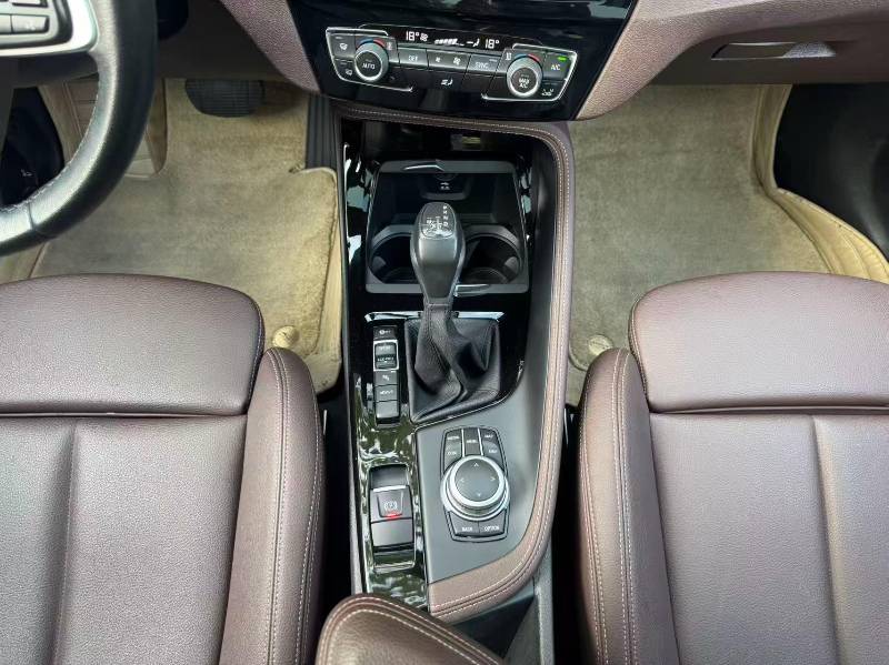 BMW X1 New Energy 2020 imagen de coche #9
