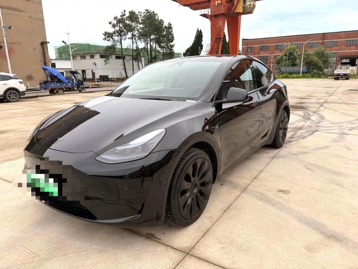Tesla Model Y 2022 car image 