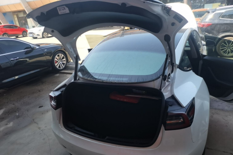 Tesla Model 3 2021 car image #19