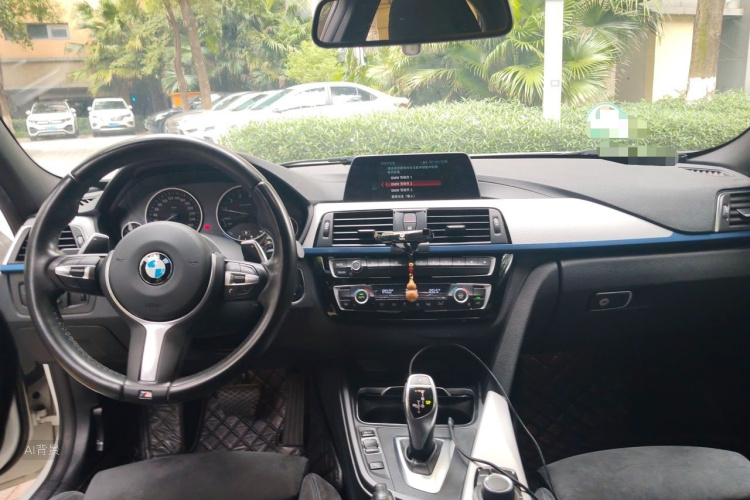 BMW 3 Series 2017 car image #11