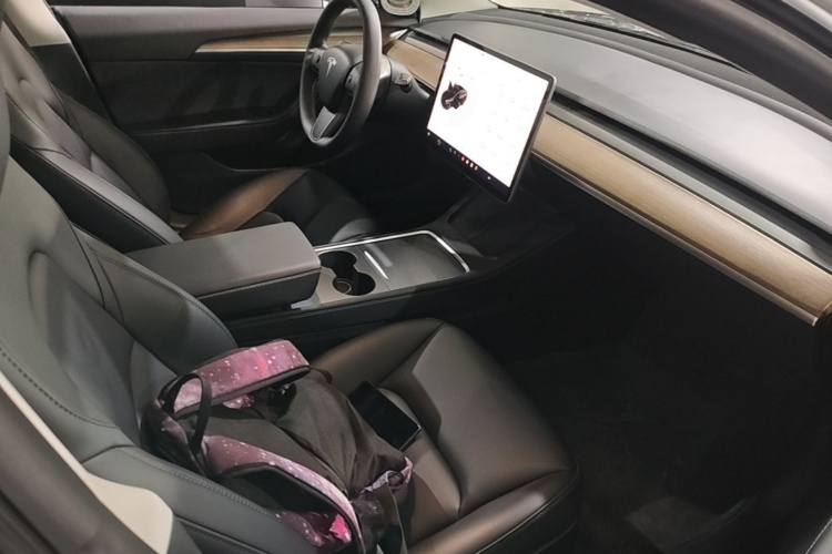 Tesla Model 3 2021 #24 Tesla Model 3 2021 car image #24