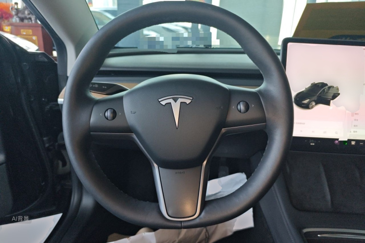 Tesla Model 3 2021 car image #12