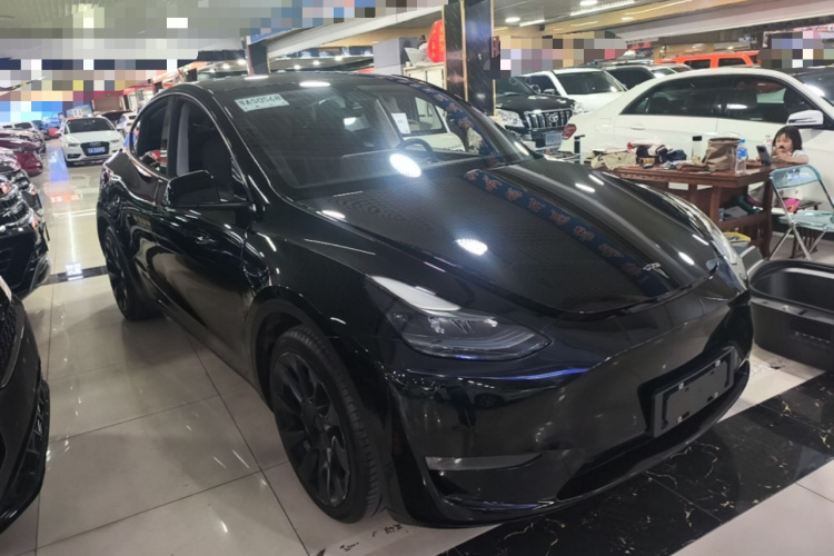 Tesla Model Y 2021 #6 Tesla Model Y 2021 car image #6