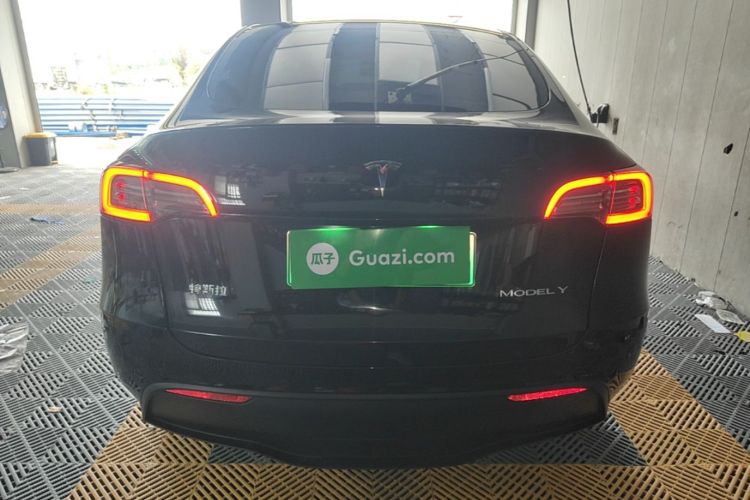 Tesla Model Y 2021 car image #6