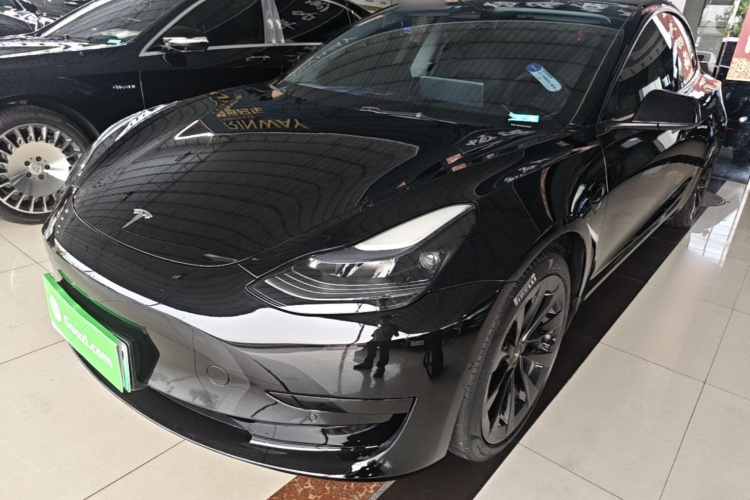 Tesla Model 3 2023 #2 Tesla Model 3 2023 car image #2