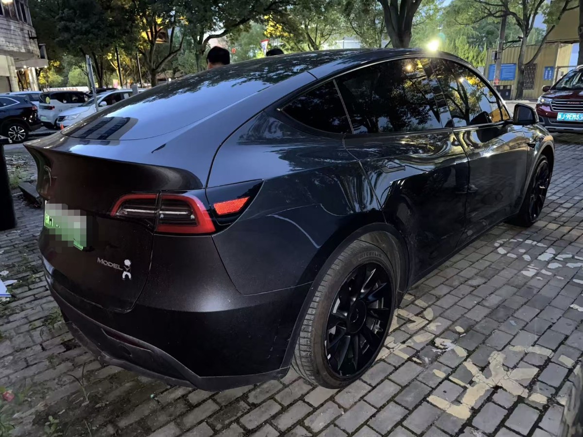 Tesla Model Y 2024 car image #3