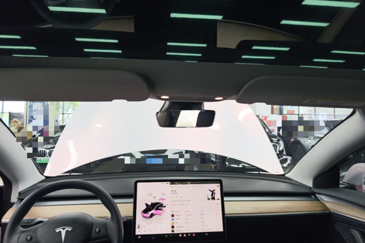 Tesla Model 3 2022 immagine di auto #20