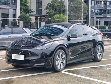 Tesla Model Y 2023 Tesla Model Y 2023 car image