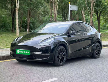 Tesla Model Y 2022 car image 
