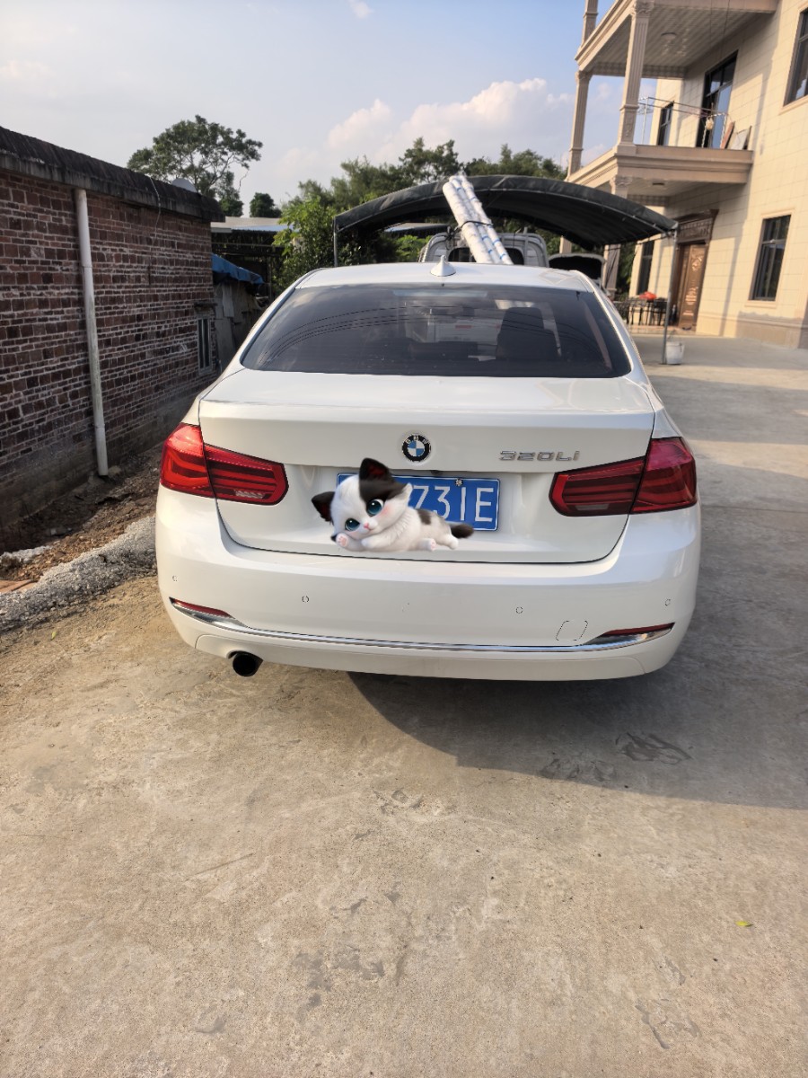 BMW 3 Series 2016 immagine di auto #8
