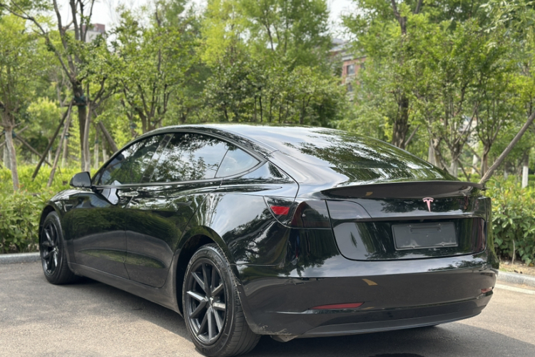 Tesla Model 3 2021 #7 Tesla Model 3 2021 car image #7