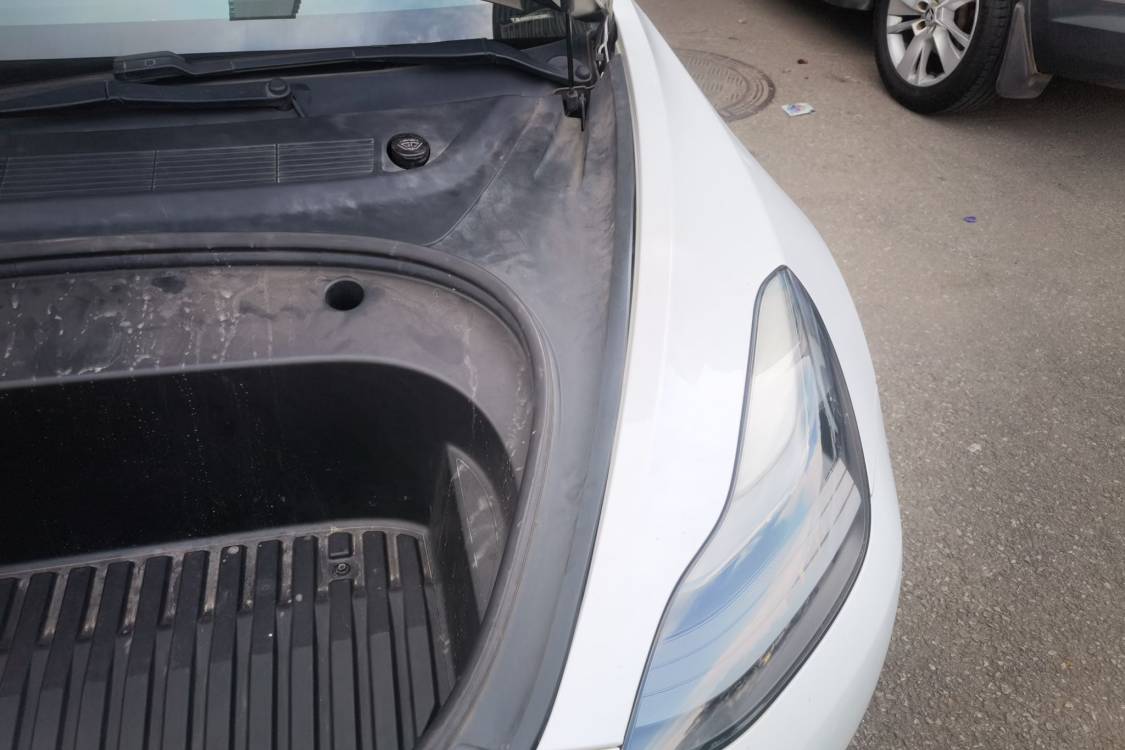 Tesla Model 3 2021 car image #12