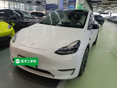 Tesla Model Y 2022 Tesla Model Y 2022 car image