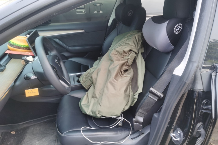 Tesla Model 3 2022 #19 Tesla Model 3 2022 immagine di auto #19