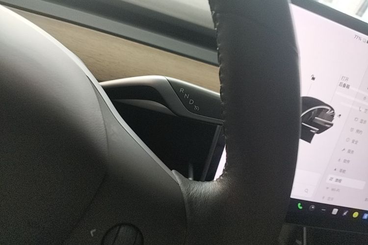 Tesla Model 3 2020 immagine di auto #14