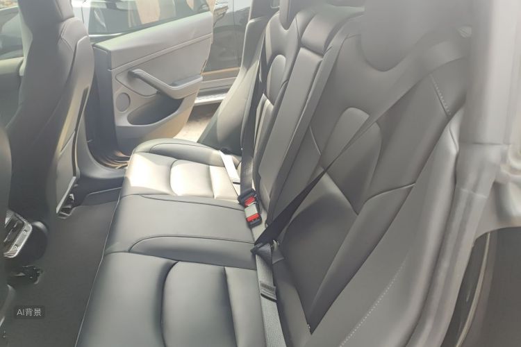 Tesla Model 3 2022 car image #19