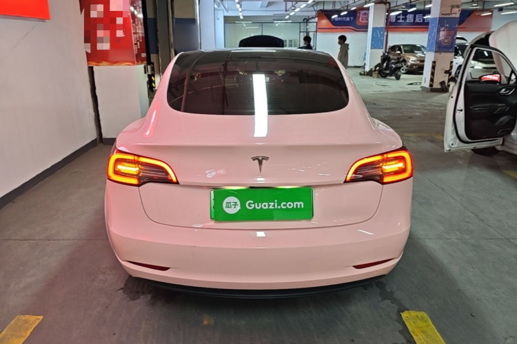 Tesla Model 3 2021 #6 Tesla Model 3 2021 car image #6