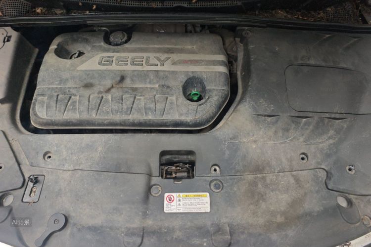 GEELY Emgrand GS 2016 car image #22