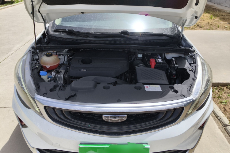GEELY Emgrand GS 2020 #20 GEELY Emgrand GS 2020 car image #20