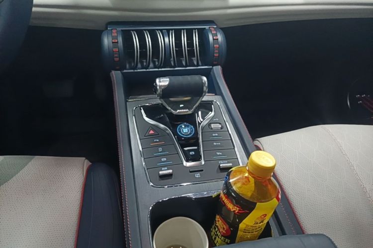BYD Yuan Plus 2022 car image #14