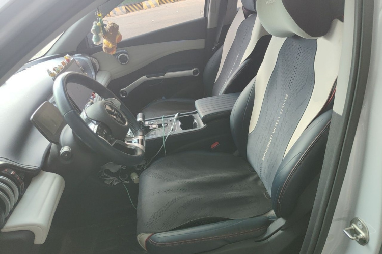 BYD Yuan Plus 2023 car image #19