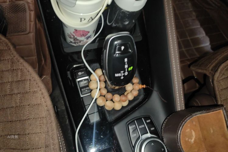 BMW X1 2020 car image #16