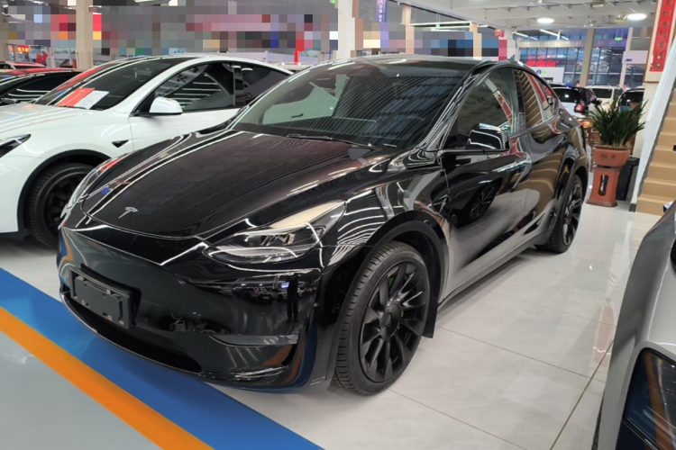 Tesla Model Y 2021 #2 Tesla Model Y 2021 صورة سيارة #2