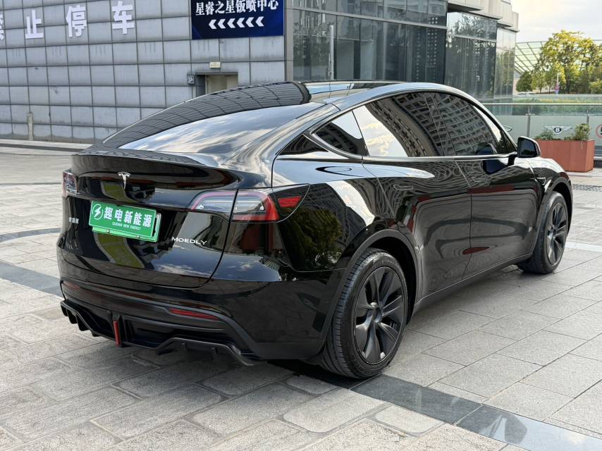 Tesla Model Y 2023 car image #11