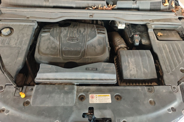 GEELY Coolray 2019 imagen de coche #20