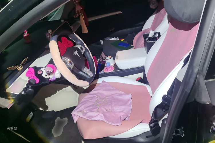 Tesla Model 3 2022 car image #17