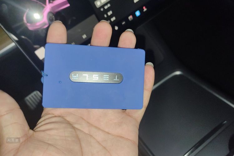 Tesla Model 3 2021 car image #10