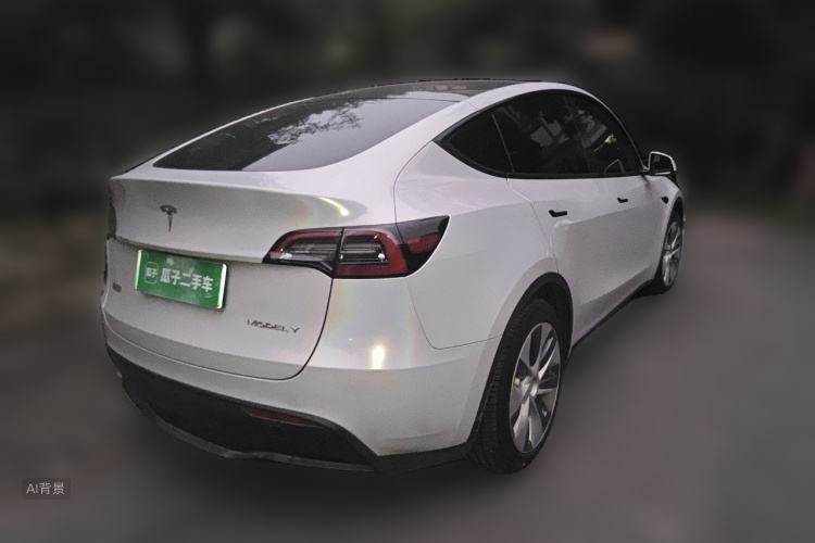 Tesla Model Y 2021 #7 Tesla Model Y 2021 car image #7