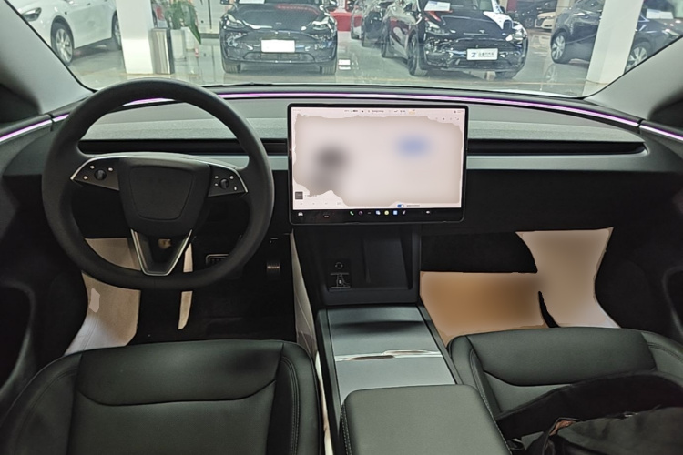 Tesla Model 3 2024 immagine di auto #10