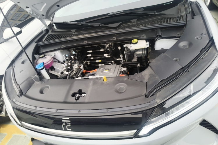 BYD YuanUP 2026 car image #20
