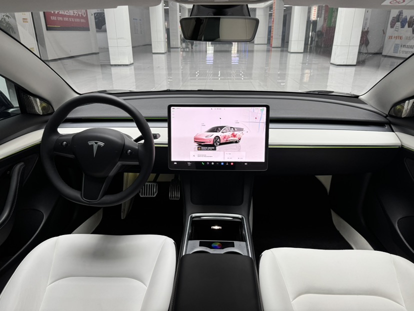 Tesla Model 3 2022 car image #13