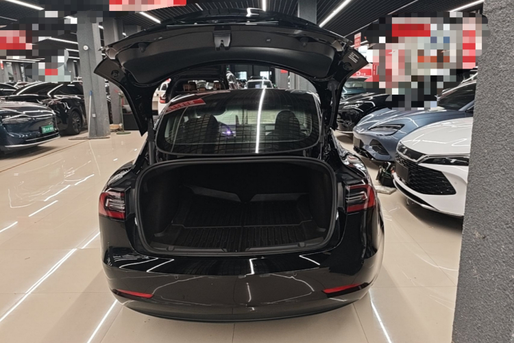 Tesla Model 3 2023 #21 Tesla Model 3 2023 car image #21