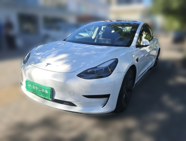 Tesla Model 3 2022 Tesla Model 3 2022 car image