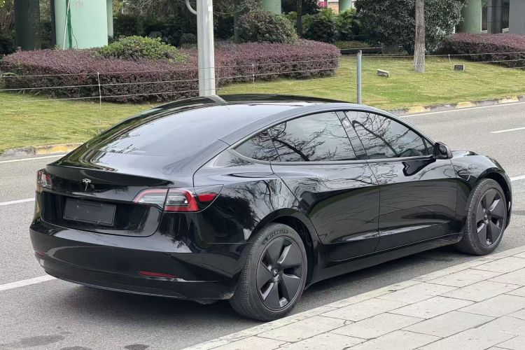 Tesla Model 3 2021 #5 Tesla Model 3 2021 изображение автомобиля #5