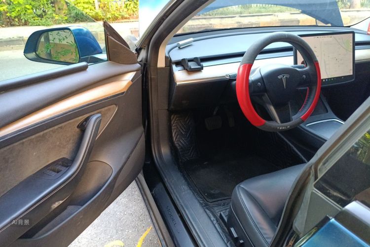 Tesla Model 3 2021 car image #18