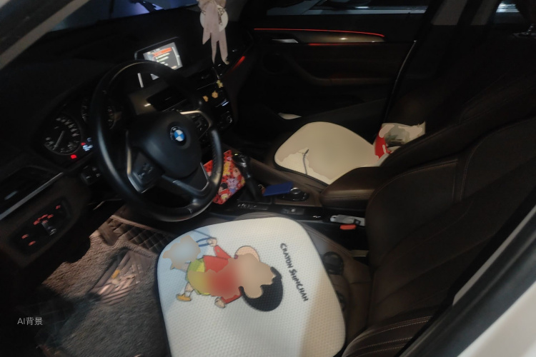 BMW X1 2017 imagen de coche #17