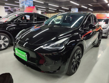 Tesla Model Y 2022 car image 
