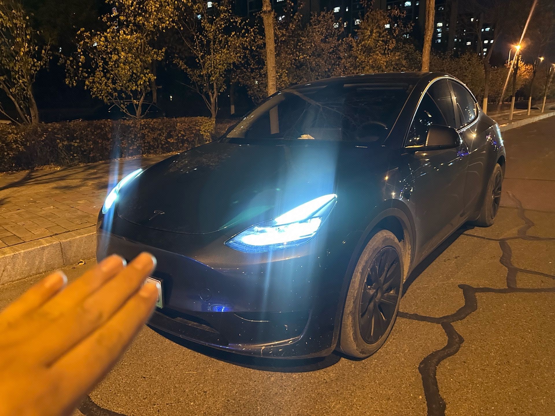 Tesla Model Y 2024 Tesla Model Y 2024 car image