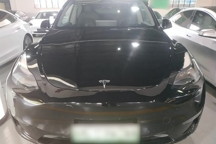 Tesla Model Y 2021 #3 Tesla Model Y 2021 car image #3