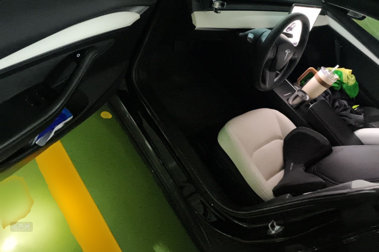 Tesla Model 3 2021 immagine di auto #18