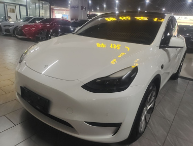 Tesla Model Y 2023 Tesla Model Y 2023 car image