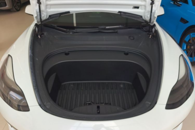 Tesla Model 3 2021 #20 Tesla Model 3 2021 car image #20
