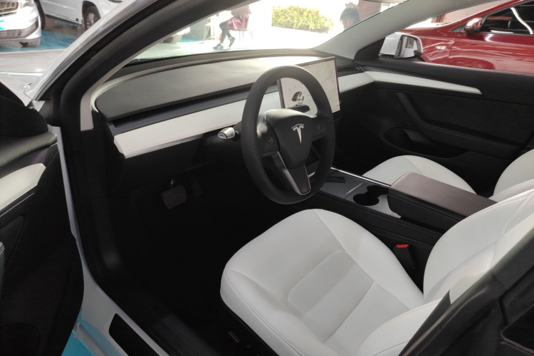 Tesla Model 3 2021 car image #16