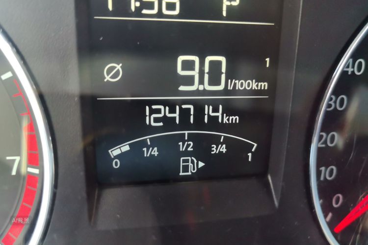 Volkswagen Polo 2015 car image #14